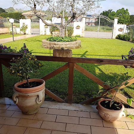 Rifugio Dell'Airone Apartman Capodimonte Kültér fotó